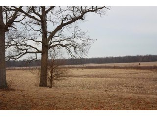 Property photo 21 - MAJOR LAND AUCTION - 541+/- Acres offered in 5 Tracts